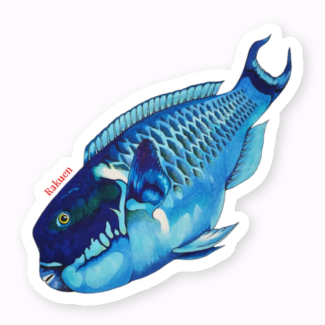 魚壁飾り　ナンヨウブダイ成魚　（額無し）在庫現品のみ❗️ ナンヨウブダイ)魚ステッカー | PAY ID