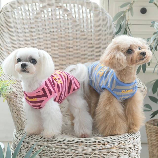 ストライプロゴタンク XLARGE（エクストララージ）