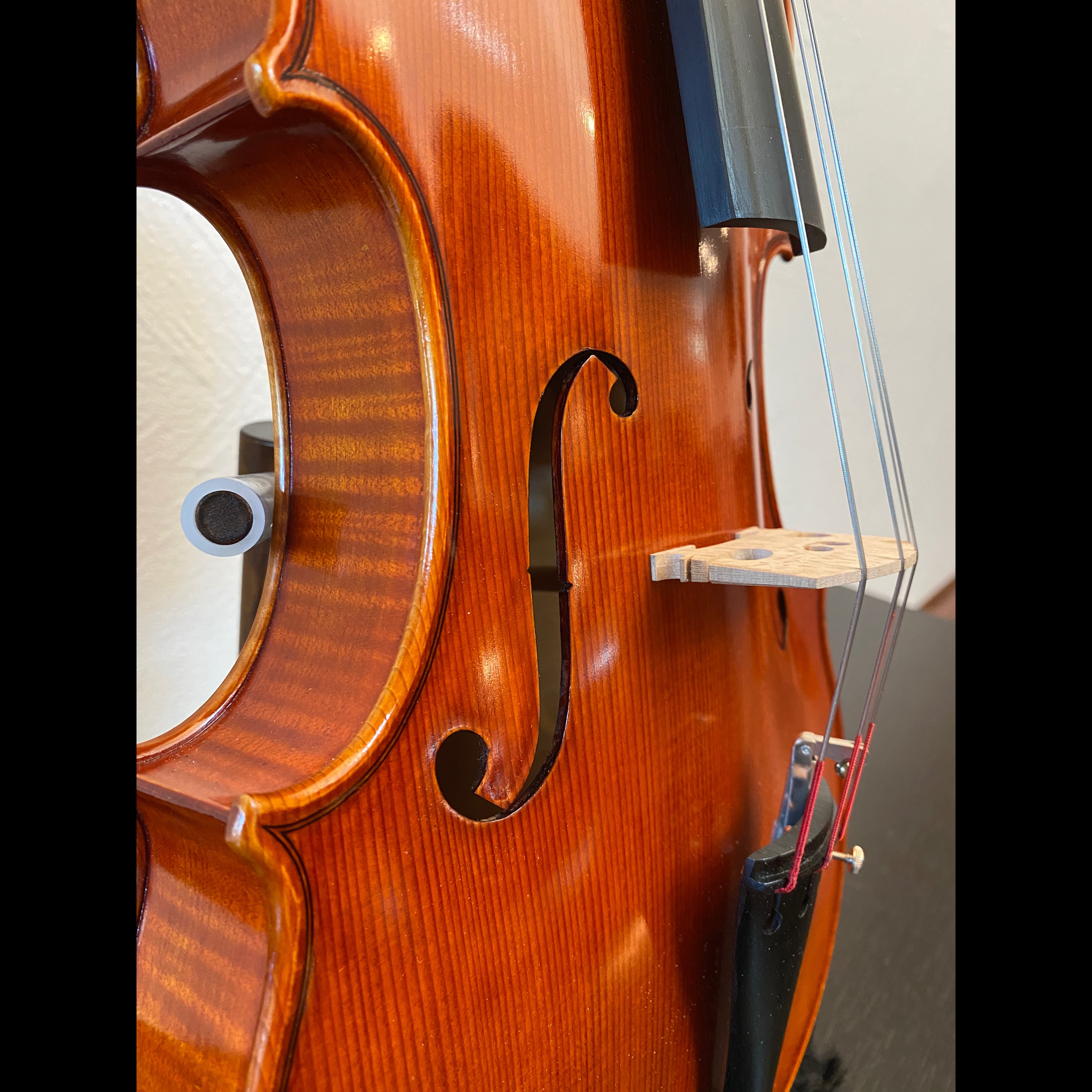 No.142S/142W エターナルビオラ | suzukiviolin No.142S/142W エターナルビオラ | suzukiviolin