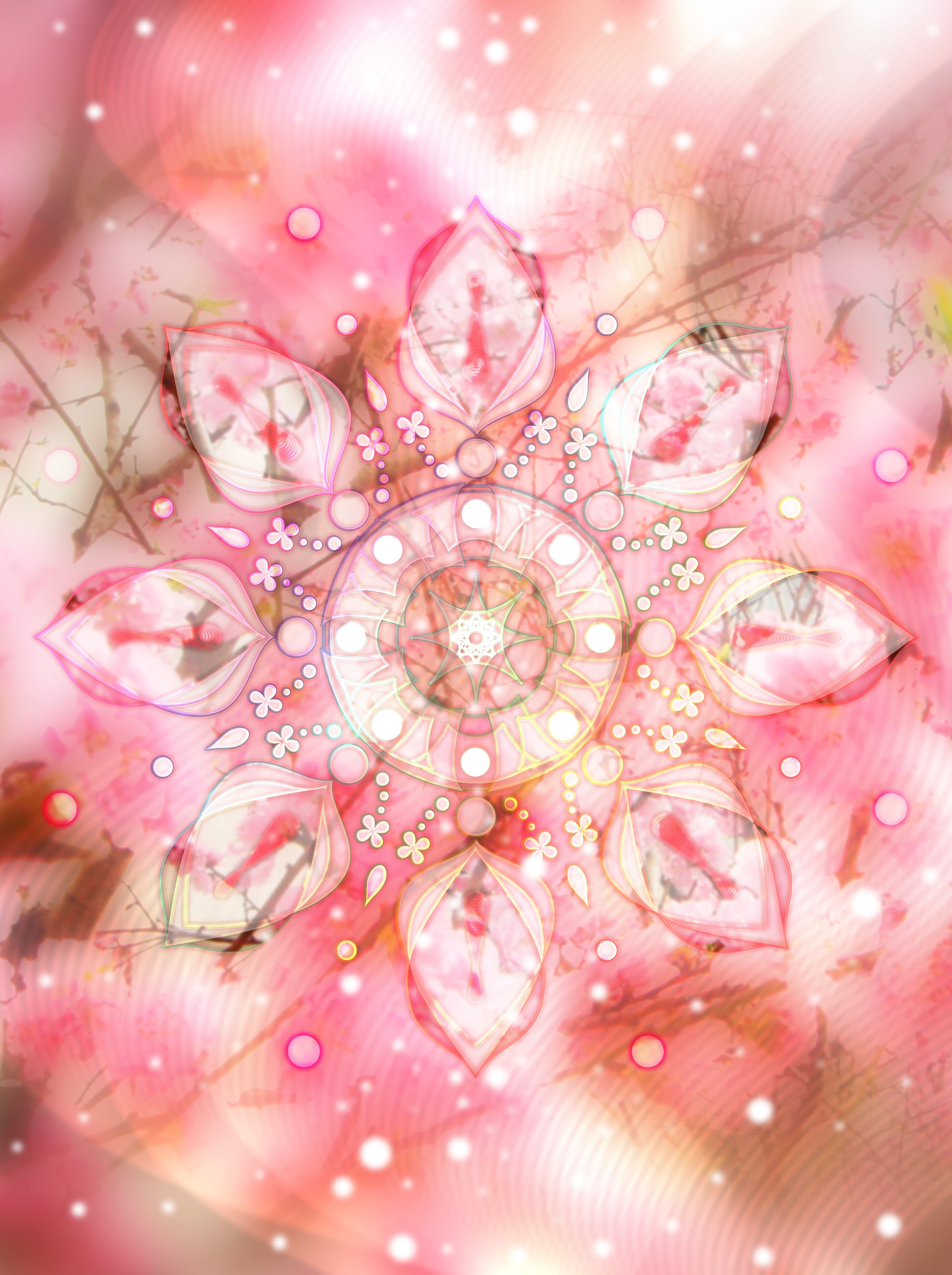 a8a9189722144b7c277f701b081ed3