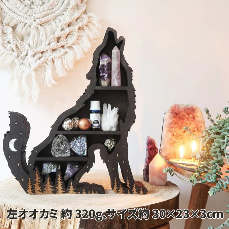 鉱物 化石 天然石 原石 ミネラル パワーストーン 岩石 石 コレクション