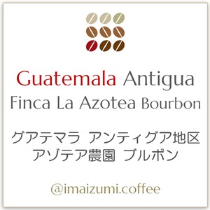 【送料込】グァテマラ アンティグア地区 アゾテア農園 ブルボン - Guatemala Antigua Finca La Azotea Bourbon  - 300g(100g×3)