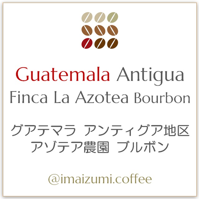 【送料込】グァテマラ アンティグア地区 アゾテア農園 ブルボン - Guatemala Antigua Finca La Azotea Bourbon  - 300g(100g×3)