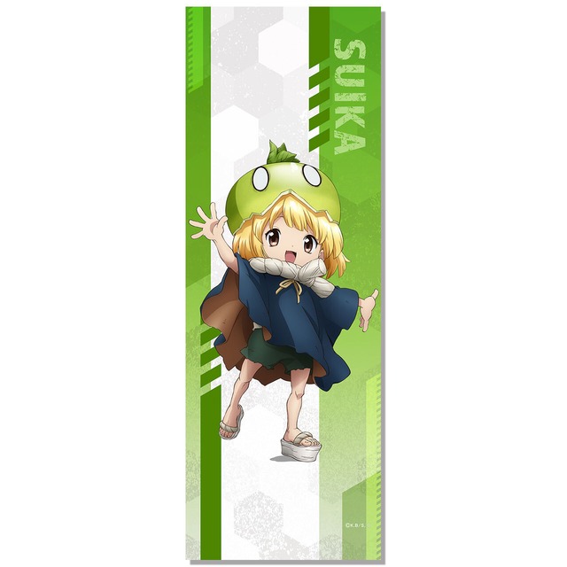 【4571576725155受注生産】Dr.STONE ミニタペストリー　スイカ