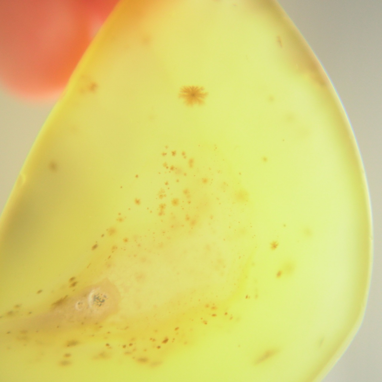 Lemon Soda 17 - アゲートヒーリングチャイム / Agate Healing Chime 1134