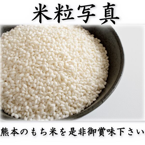 お米 米 5kg 白米 送料無料 熊本県産 ヒヨクモチ もち米 令和4年産