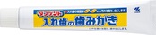 小林製薬 タフデント 入れ歯の専用歯みがき ミントの香り 95ｇ