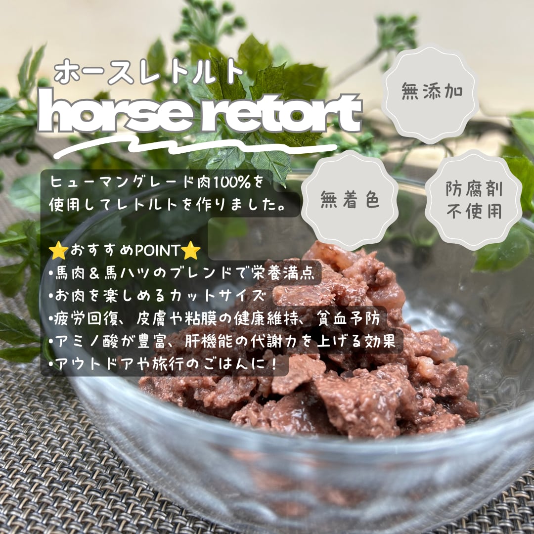 毎月1回お届け!馬肉のレトルト 10個セット