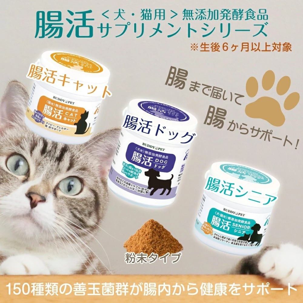 | Amazon 60g×２袋✨ プロキュア 腸内環境を整えニオイ軽減✨ワンダードリーム ✨犬猫用 【獣医師W監修】パーフェクトわんケア 猫 犬 乳酸菌プラス サプリメント