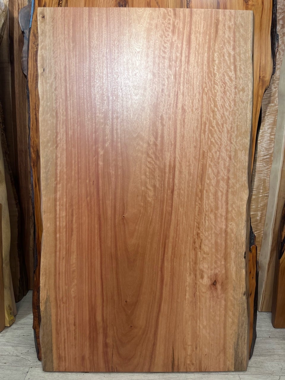 【ポプリ様お取引用】天板 ポプラ瘤_900×530-850-670×45_浅草本店_テーブル天板/一枚板 241507