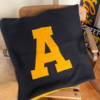 Vintage College Blanket カレッジ ブランケット ビンテージ キャンプ 車 ディスプレイ 大学