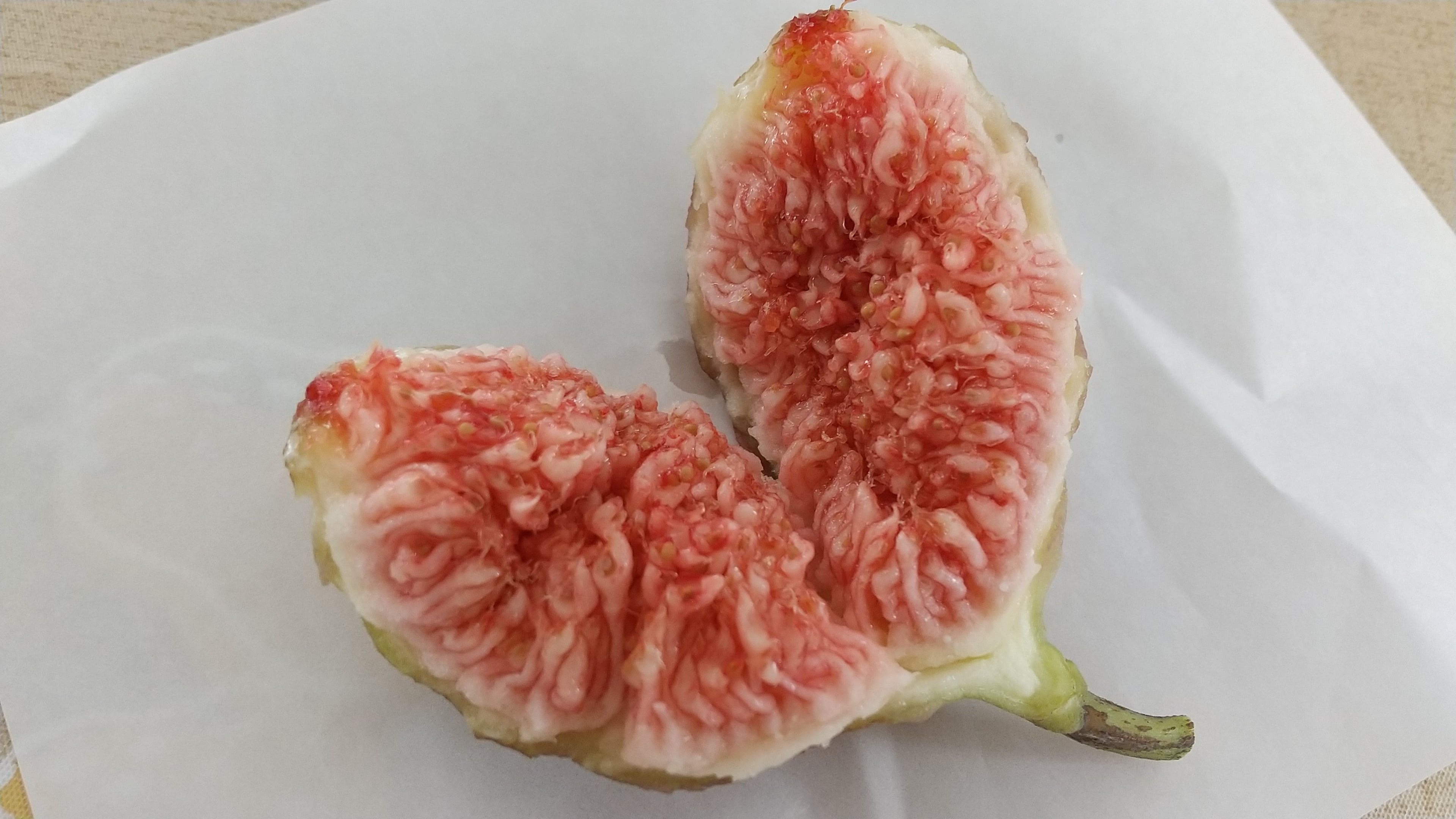 「常夏みかん 様」蓬莱柿 自家栽培・産地直送》甘酸っぱい美味しさ いちじく 蓬莱柿16個入り