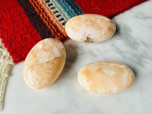 個性派美女の金運生活