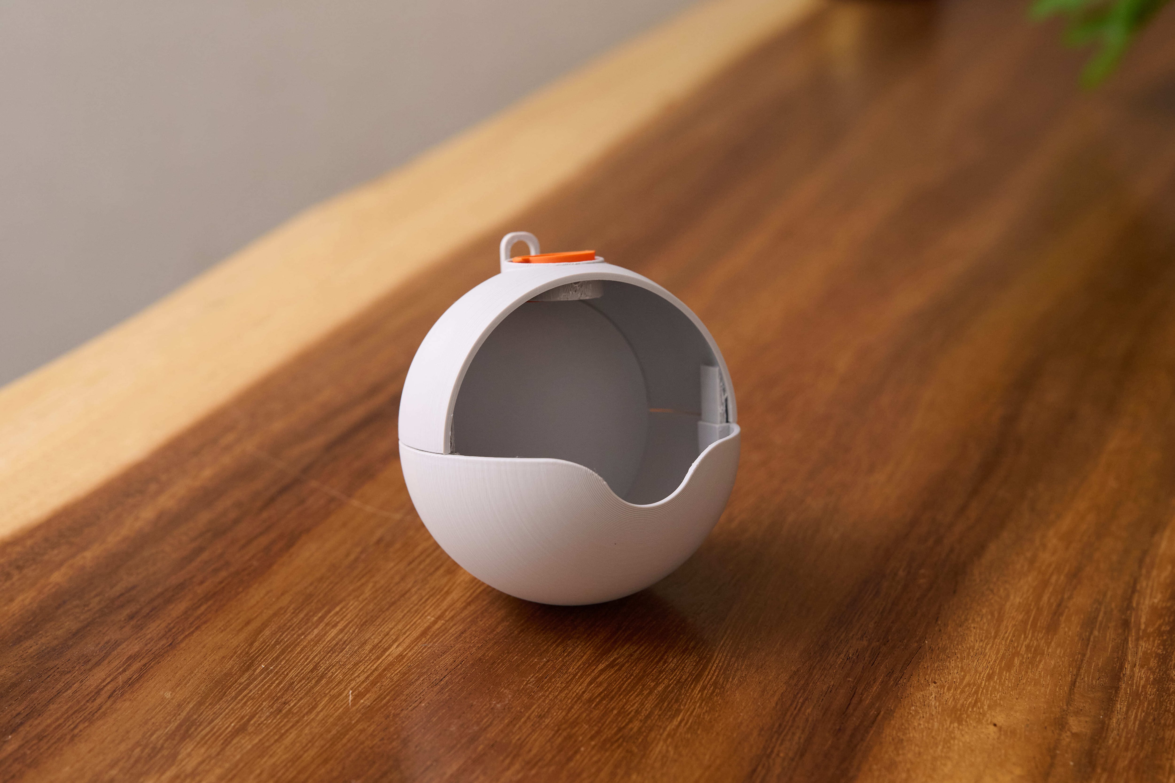 BIKAKU POD S - 水が垂れないビカクシダ育成用ポッド | TOKYO