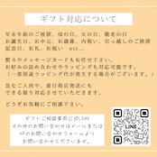 【原液シロップ】 原点ソーダの素100mlパウチ