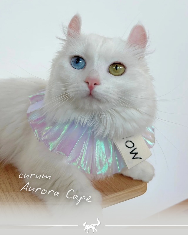 受注制作 【curum】curum Aurora  Cape〔お名前item〕