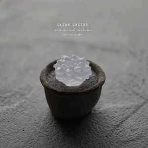 clear cactus　麗蛇丸