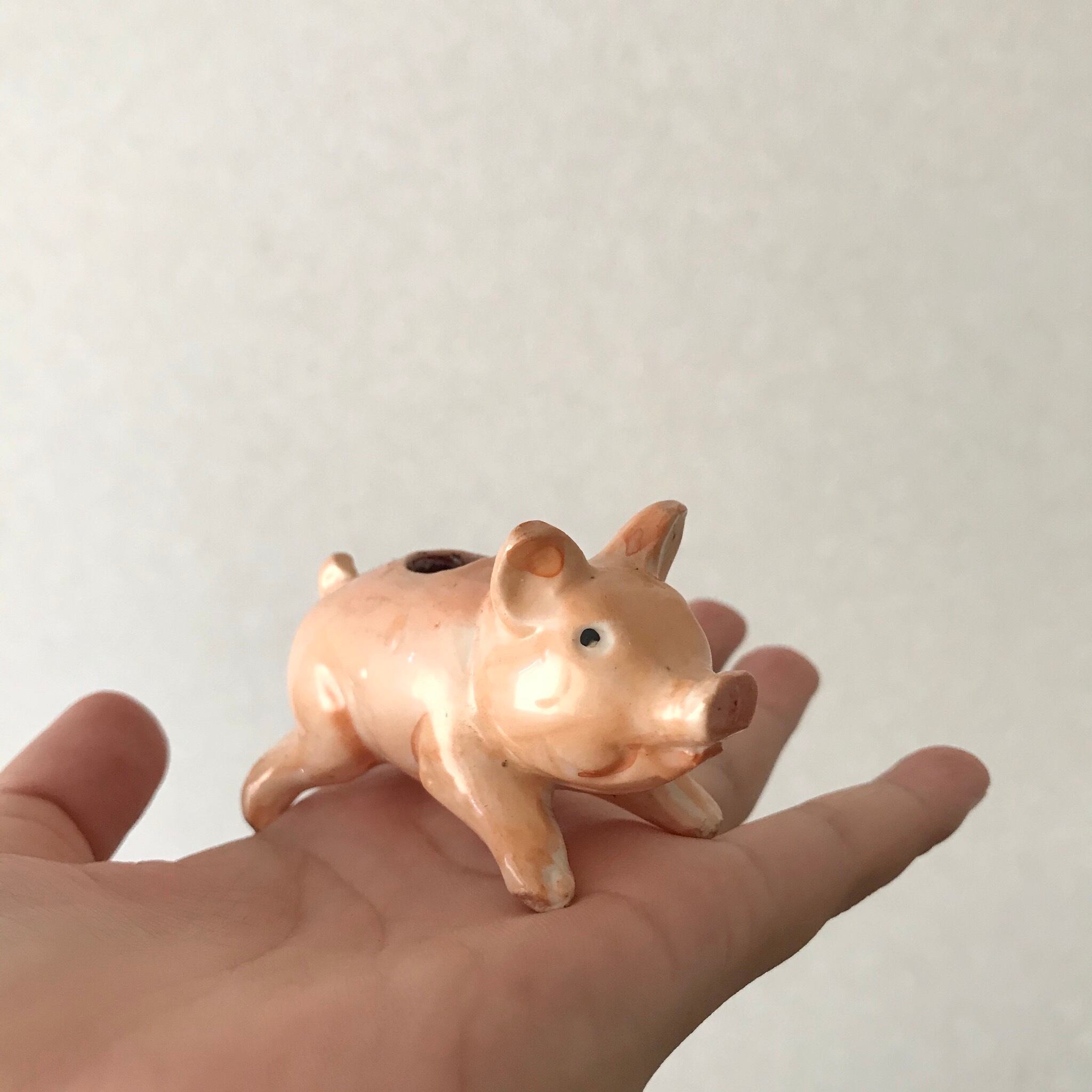 躍動感のあるブタ