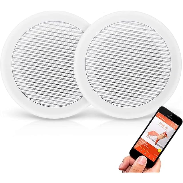 Monitor Speaker / AMATERAS 9080 【PowerAmpSet】 ［長岡工房］ | PAY ID