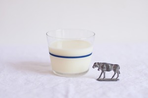 【11月】季節のジェラートギフト　8個セット