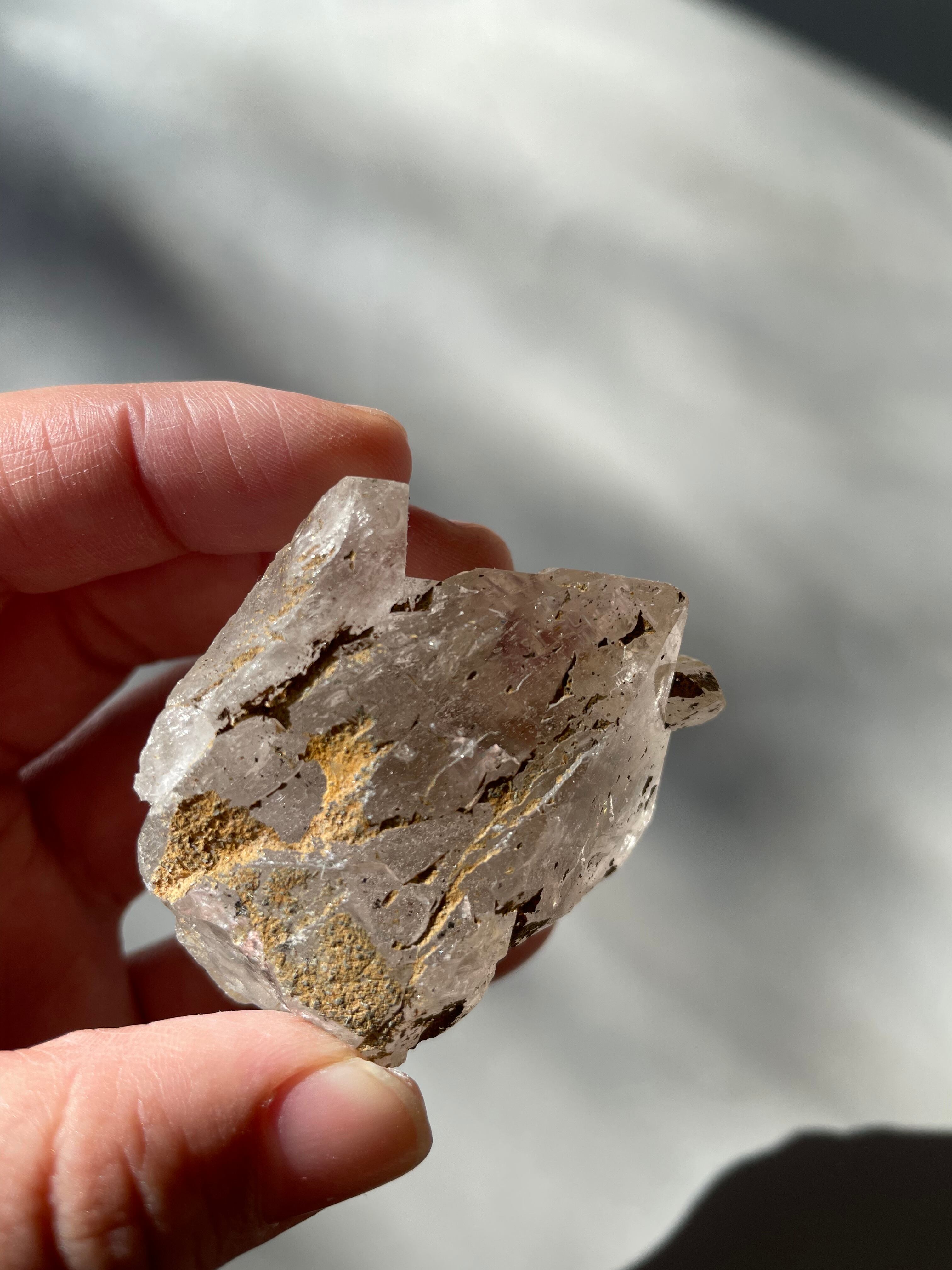 パキスタン　ギルギット　スカルドゥ産　ゴールデンヒーラー　マニフェステーション