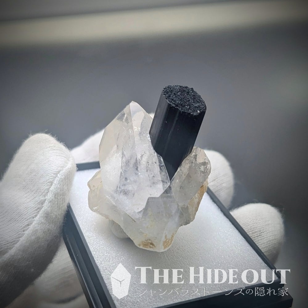 ヒマラヤ産鉱物原石標本029 タプレジュン地区産ショールトルマリン