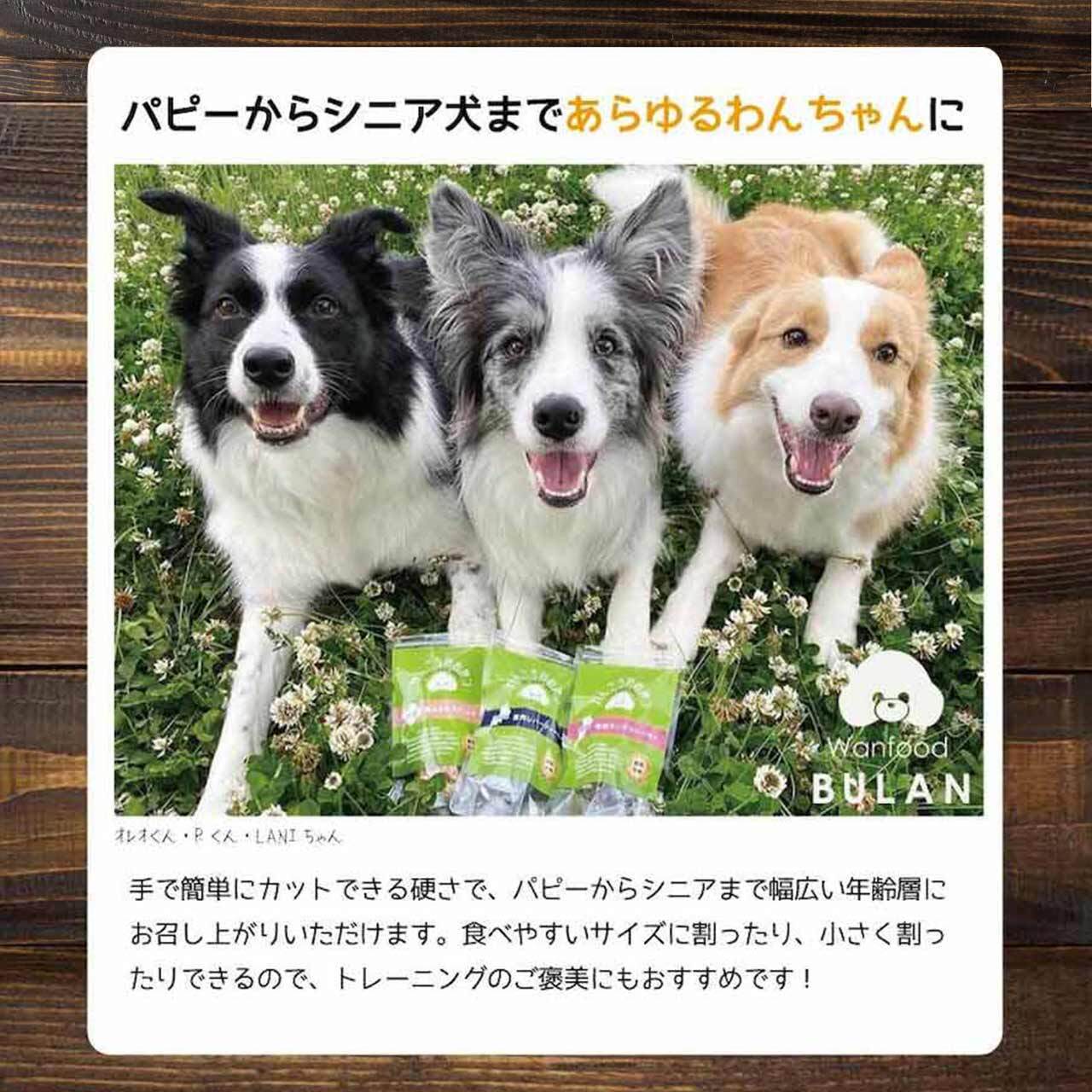 鶏ささみスティック 20g【とりシリーズ】（国産 手作り 犬のおやつ 無