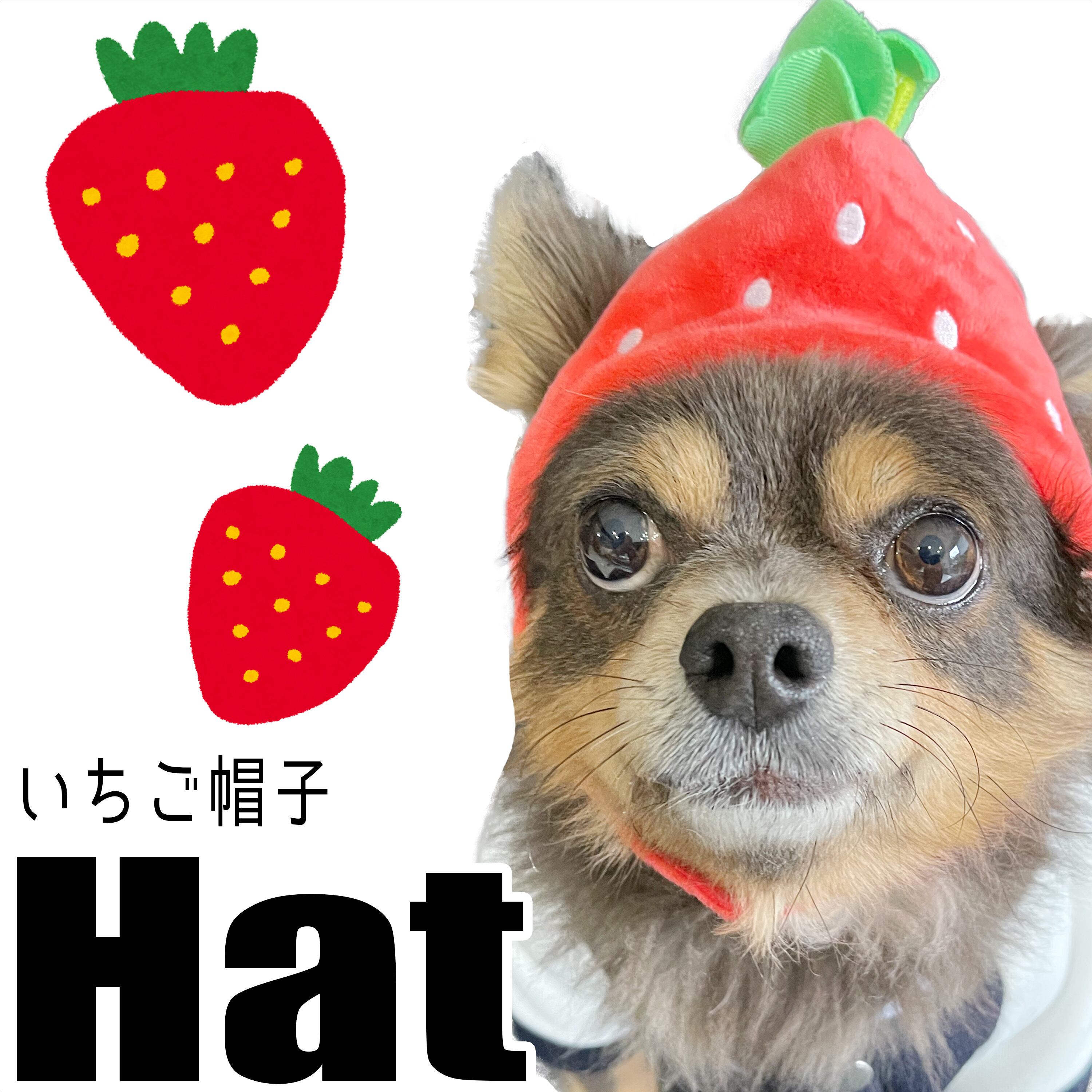 帽子】いちご帽 笑 | G-snap