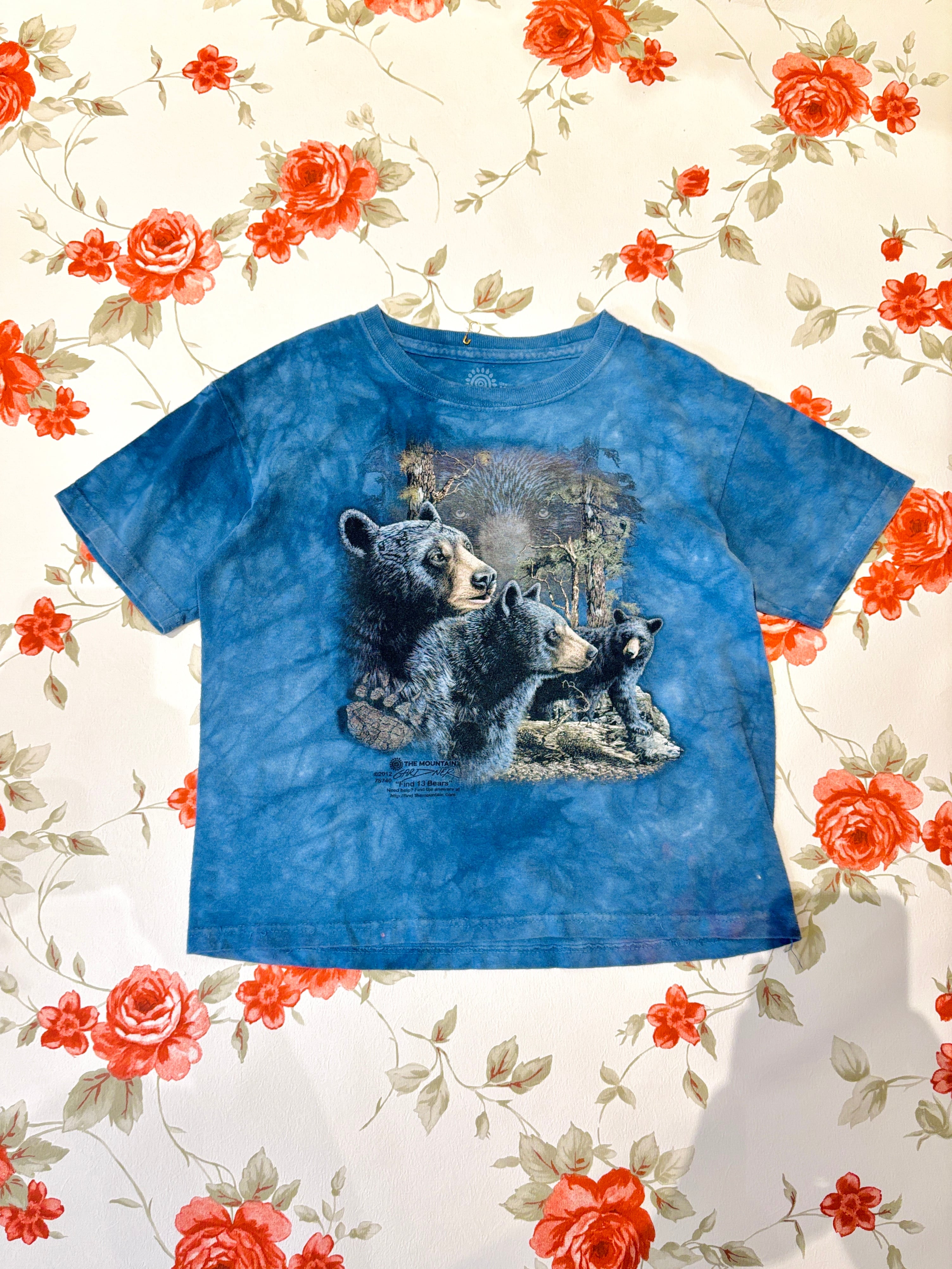 【kids vintage】 BEAR THE MOUNTAIN T-sh. about6-7y