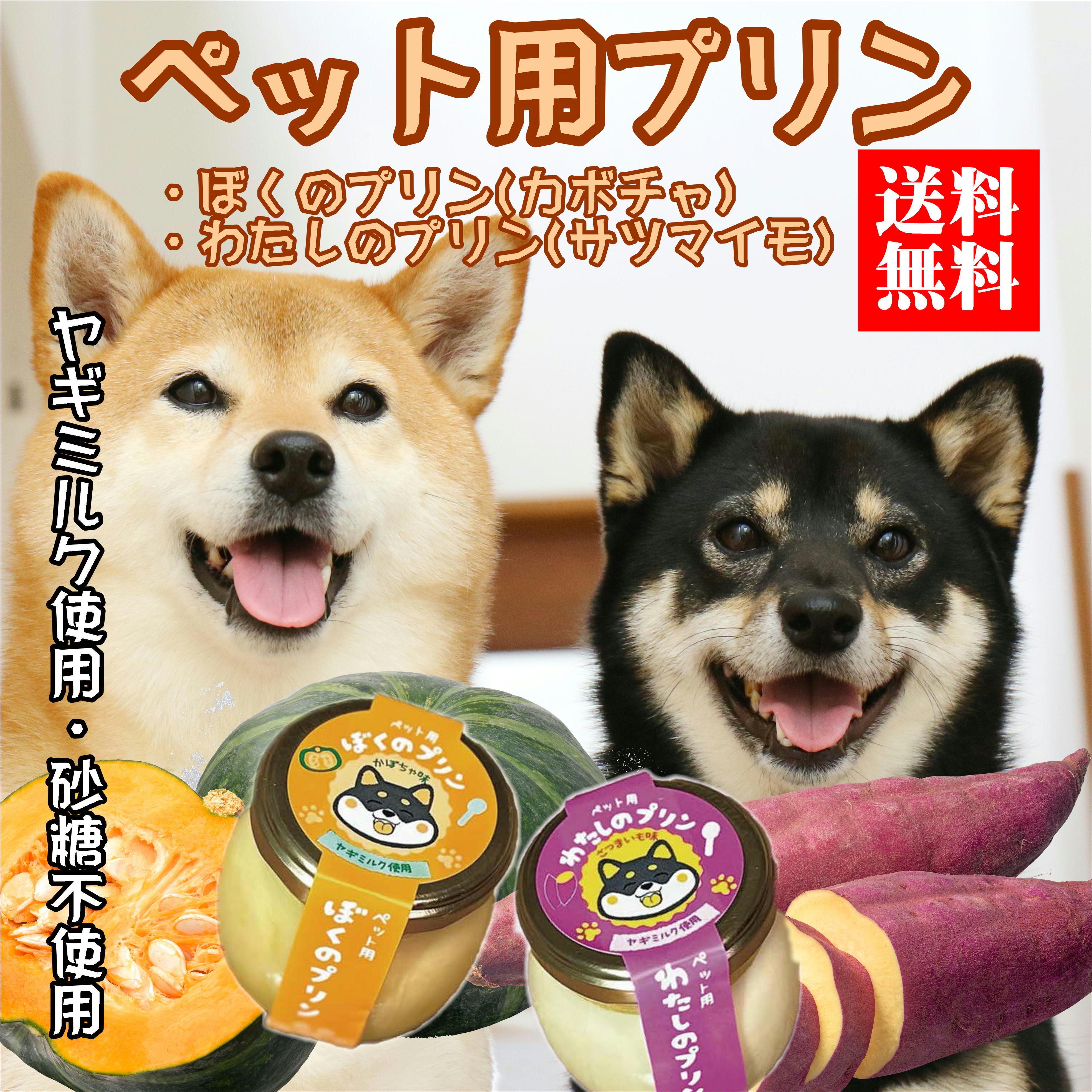 選べる♪ ペット用プリン6個セット