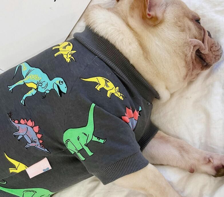 《予約》1102083 やんちゃ恐竜トップス