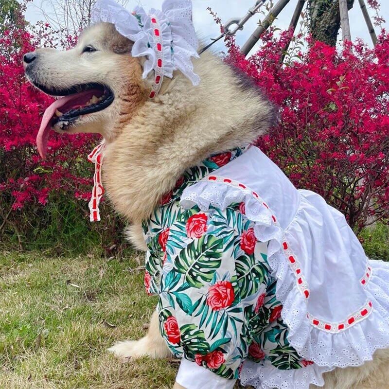 犬服・アクセサリー atelierGG アトリエ GG LINEN DENIM APRON 2½ 犬服・アクセサリー