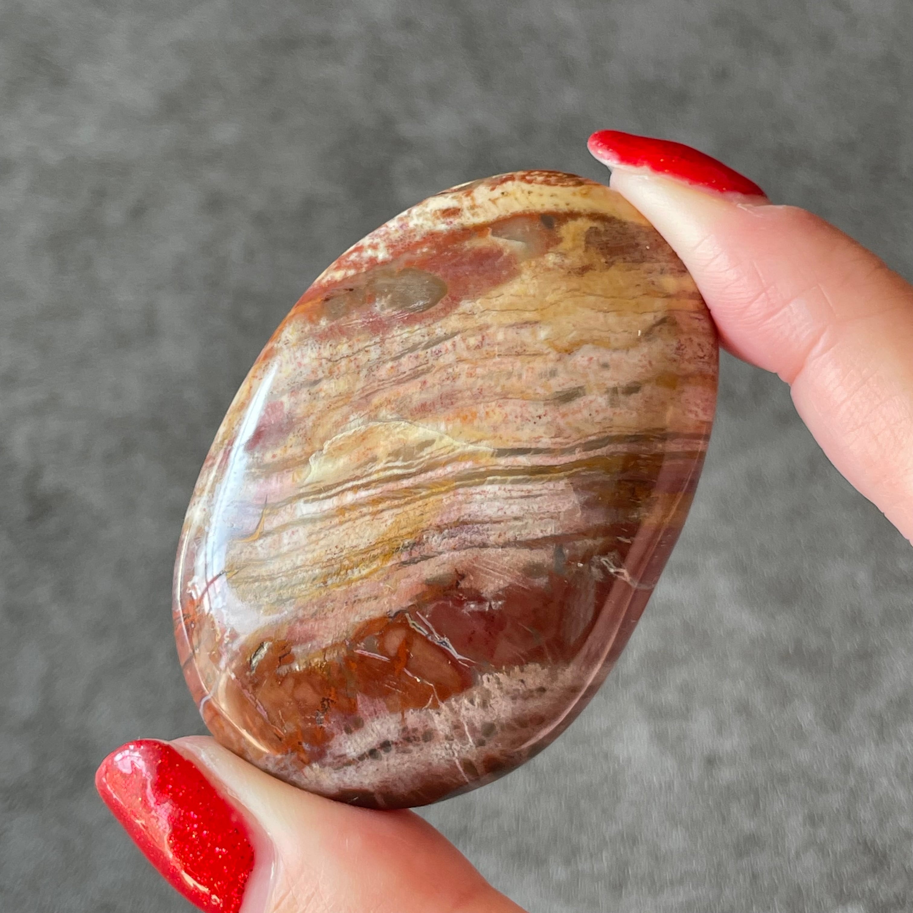 Petrified Wood ペトリファイドウッド|palm パーム②|天然石 パワーストーン 鉱物 gem stone