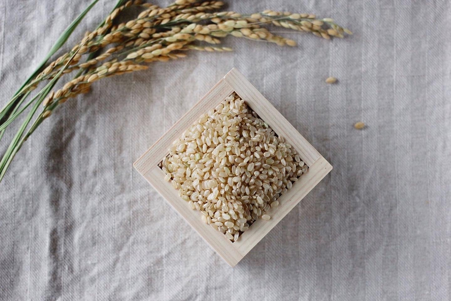 はじめ米　玄米　10kg　はじめ米