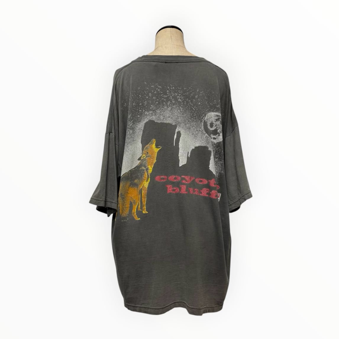 Marlboro "Coyote Bluff" Fade Tee