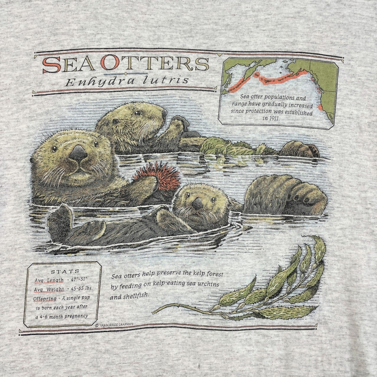 90年代 USA製 HARBORSIDE GRAPHICS ラッコ アニマル アート プリントT