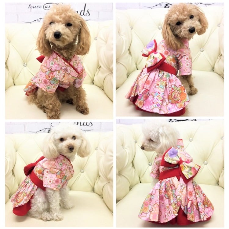 ペット用品　ペット洋服　犬服　犬の服　犬用品　和風　サクラ柄　可愛い　季節　夏