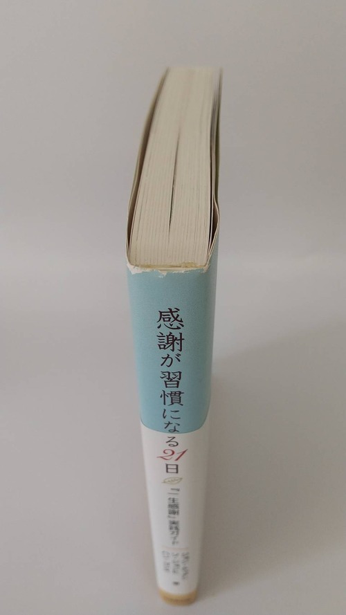 感謝が習慣になる21日『一生感謝』実践ガイドの商品画像4