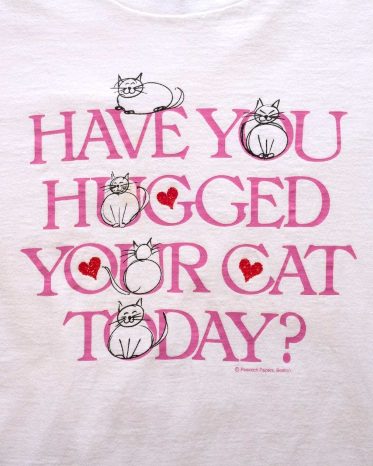 【古着】今日ねこハグした？T - 2