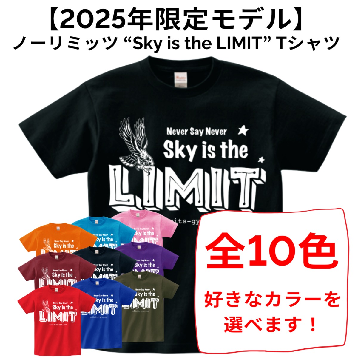 2025年限定モデル】ノーリミッツ “Sky is the LIMIT” Tシャツ 