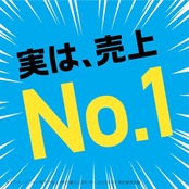 虫よけネットEX アース虫よけネット EX 吊り下げ型+玄関用パック 260日用 ベランダ用1個、玄関用1個 ベランダ 虫よけ 窓 玄関 むしよけ 害虫対策 屋外