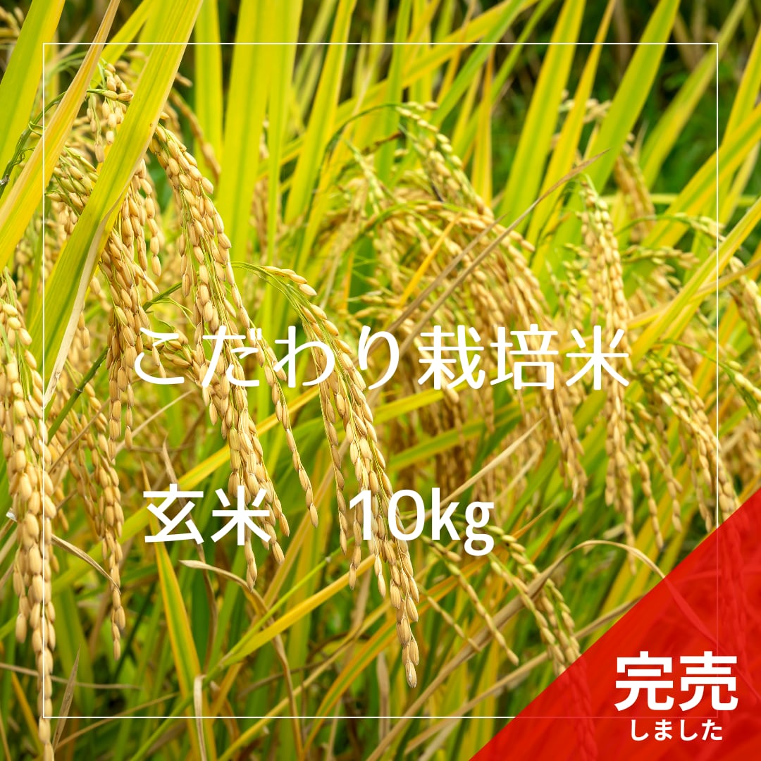 R6年産 冷めても美味しい こだわり栽培米 玄米 10kg | 無農薬 R6年産 冷めても美味しい こだわり栽培米 玄米 10kg | 無農薬
