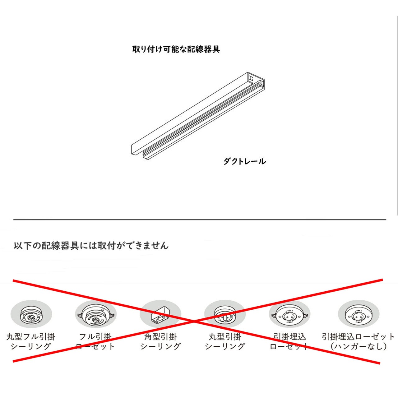 CAROL AMBER Spot Light　キャロルアンバー スポットライト
