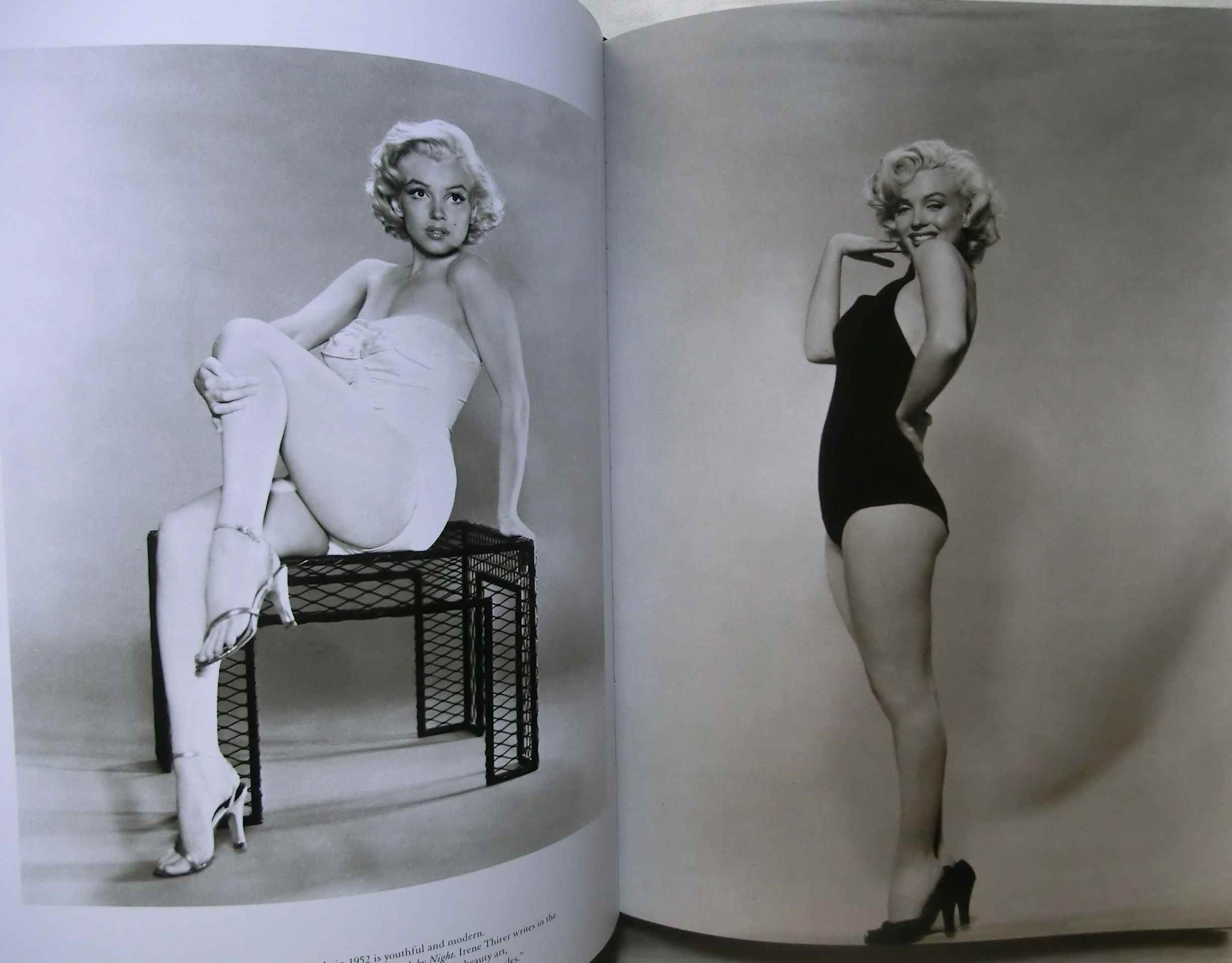 マリリン・モンロー 写真集 Silver Marilyn Monroe and the Camera