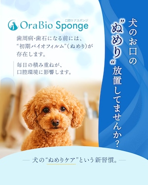 OraBio Sponge（オーラバイオスポンジ）　6本入　歯石になる前の”ぬめり”取りに