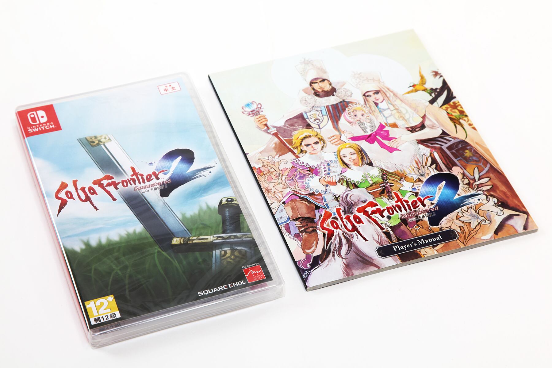 新品未開封】GUN GUN PIXIES（ガンガンピクシーズ）【switch