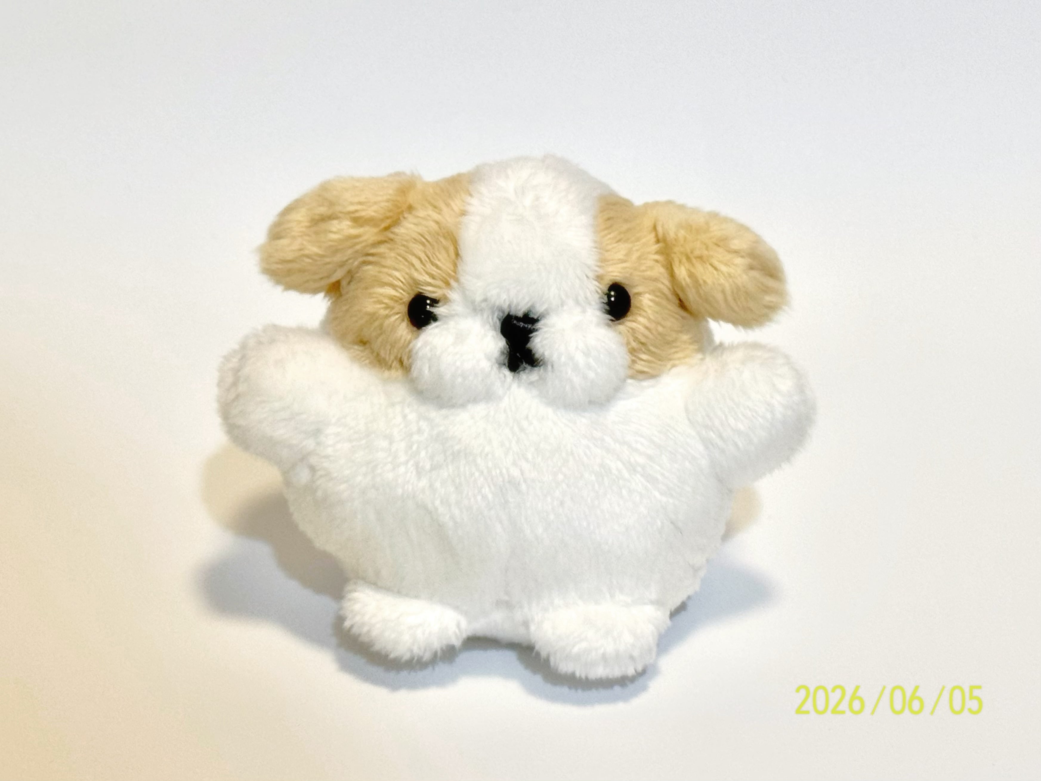 ALL ITEM | 犬道楽