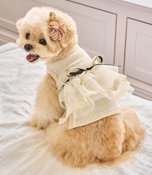 L/即納【It’s Sunny Outside】Rose Tutu Ops (ChampagneGold)