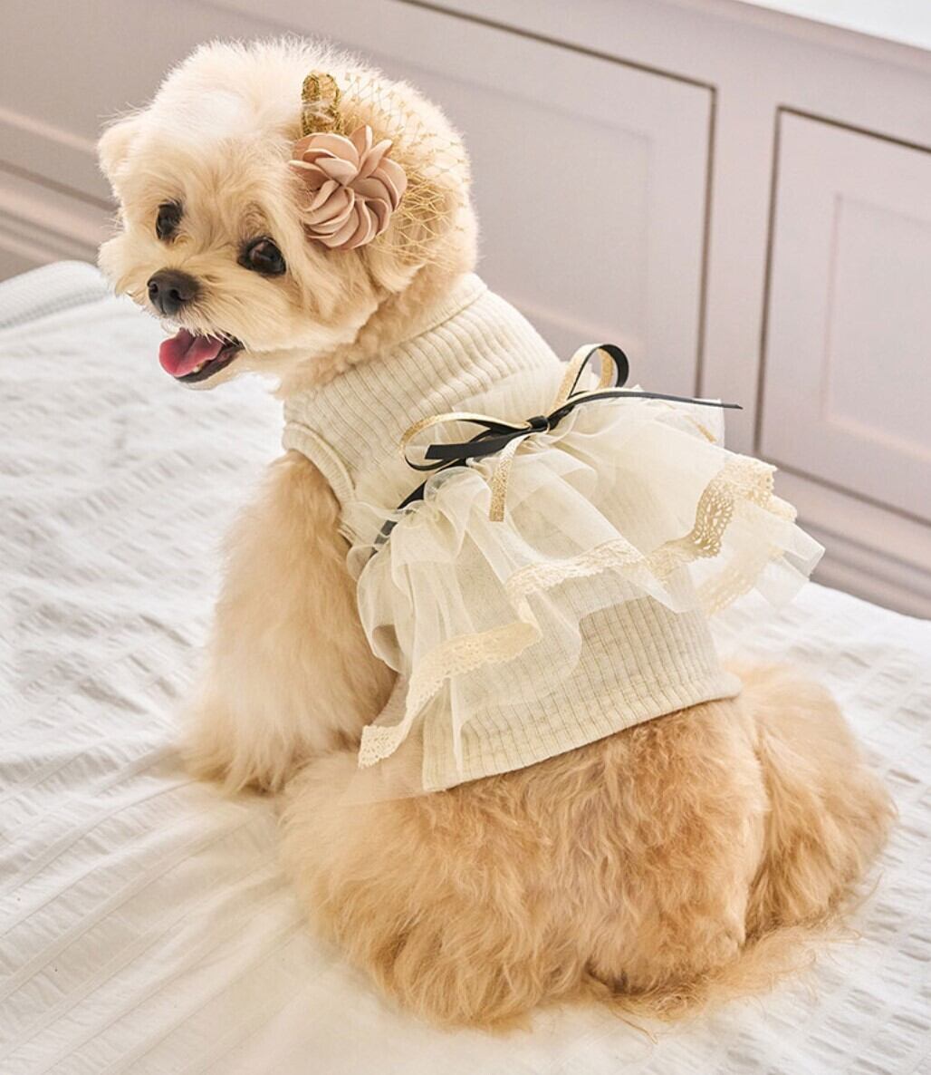 L/即納【It’s Sunny Outside】Rose Tutu Ops (ChampagneGold)