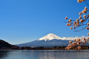 富士山と桜 03